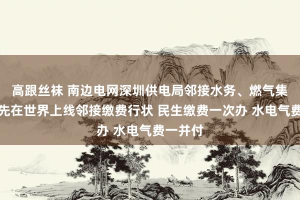 高跟丝袜 南边电网深圳供电局邻接水务、燃气集团等当先在世界上线邻接缴费行状 民生缴费一次办 水电气费一并付