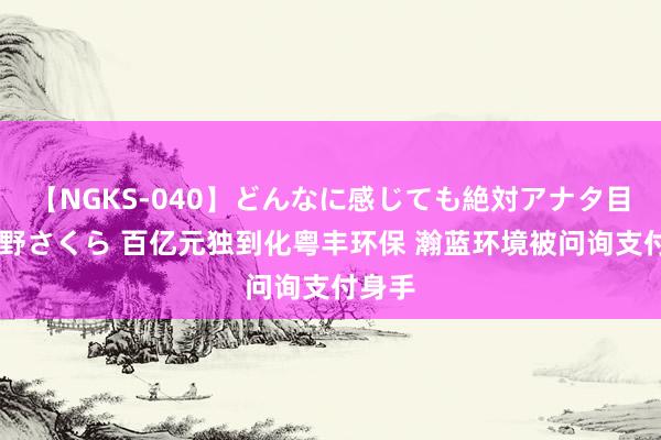 【NGKS-040】どんなに感じても絶対アナタ目線 春野さくら 百亿元独到化粤丰环保 瀚蓝环境被问询支付身手