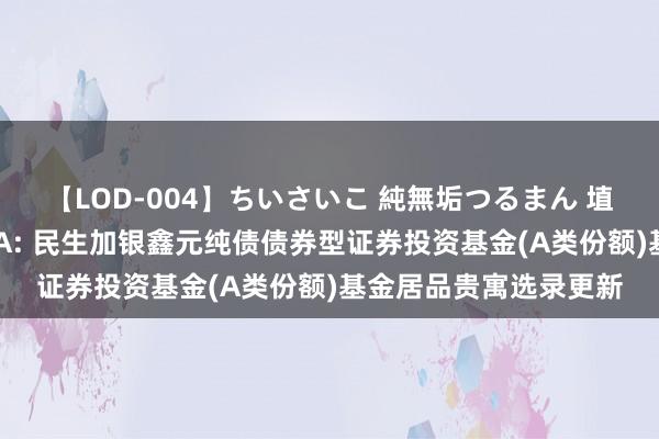 【LOD-004】ちいさいこ 純無垢つるまん 埴生みこ 民生鑫元纯债A: 民生加银鑫元纯债债券型证券投资基金(A类份额)基金居品贵寓选录更新