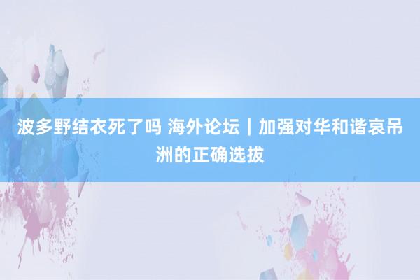 波多野结衣死了吗 海外论坛｜加强对华和谐哀吊洲的正确选拔