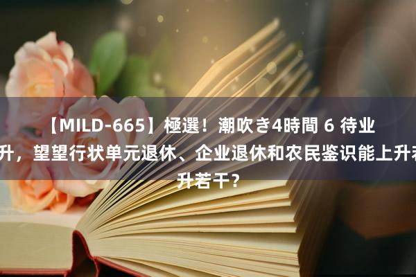 【MILD-665】極選！潮吹き4時間 6 待业金上升，望望行状单元退休、企业退休和农民鉴识能上升若干？