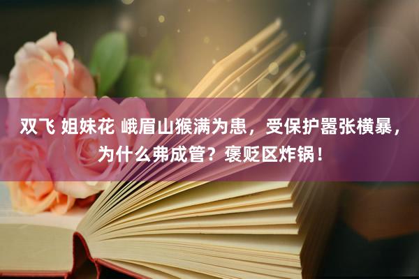 双飞 姐妹花 峨眉山猴满为患，受保护嚣张横暴，为什么弗成管？褒贬区炸锅！