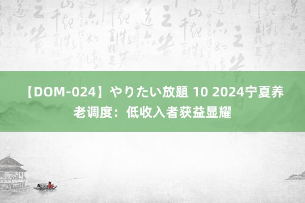 【DOM-024】やりたい放題 10 2024宁夏养老调度：低收入者获益显耀