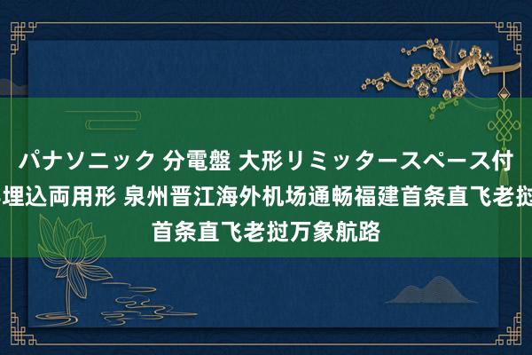 パナソニック 分電盤 大形リミッタースペース付 露出・半埋込両用形 泉州晋江海外机场通畅福建首条直飞老挝万象航路