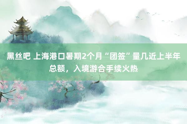 黑丝吧 上海港口暑期2个月“团签”量几近上半年总额，入境游合手续火热