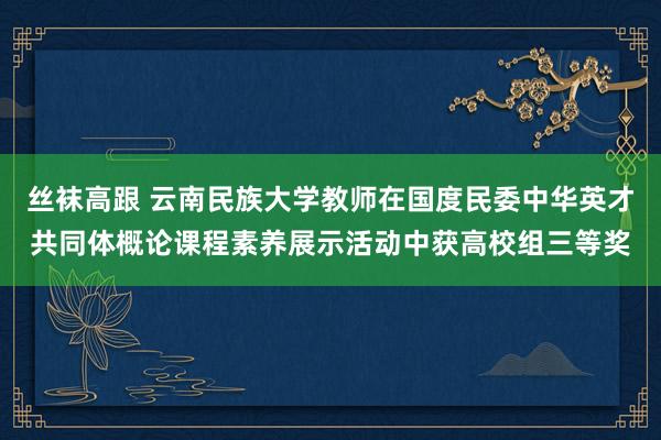 丝袜高跟 云南民族大学教师在国度民委中华英才共同体概论课程素养展示活动中获高校组三等奖