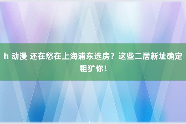 h 动漫 还在愁在上海浦东选房？这些二居新址确定粗犷你！