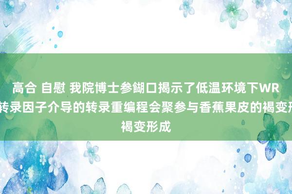 高合 自慰 我院博士参餬口揭示了低温环境下WRKY转录因子介导的转录重编程会聚参与香蕉果皮的褐变形成