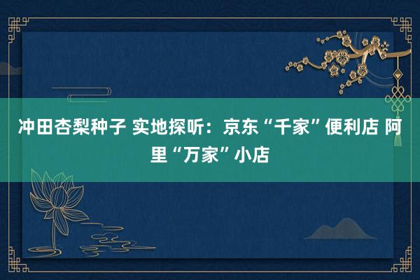 冲田杏梨种子 实地探听：京东“千家”便利店 阿里“万家”小店