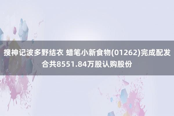 搜神记波多野结衣 蜡笔小新食物(01262)完成配发合共8551.84万股认购股份