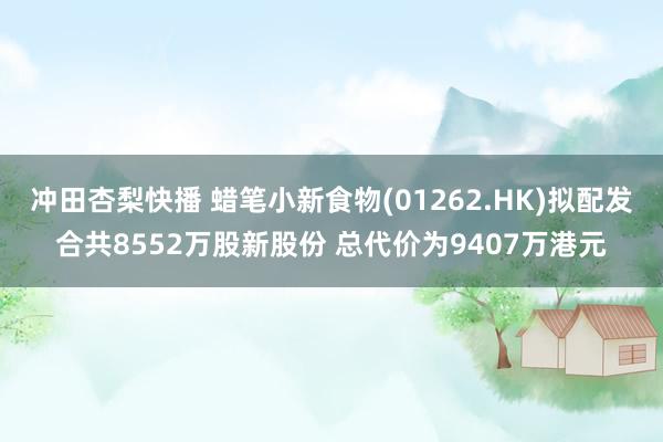 冲田杏梨快播 蜡笔小新食物(01262.HK)拟配发合共8552万股新股份 总代价为9407万港元